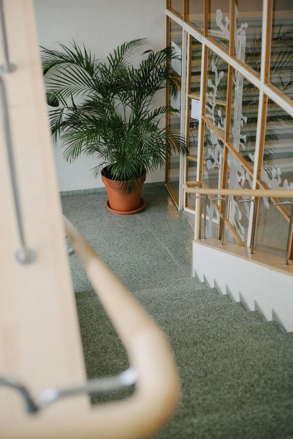 Keep clean - Reinigungs - Eine grüne Topfpalme steht auf einem gesprenkelten Treppenabsatz neben einer Treppe mit Holzgeländer.